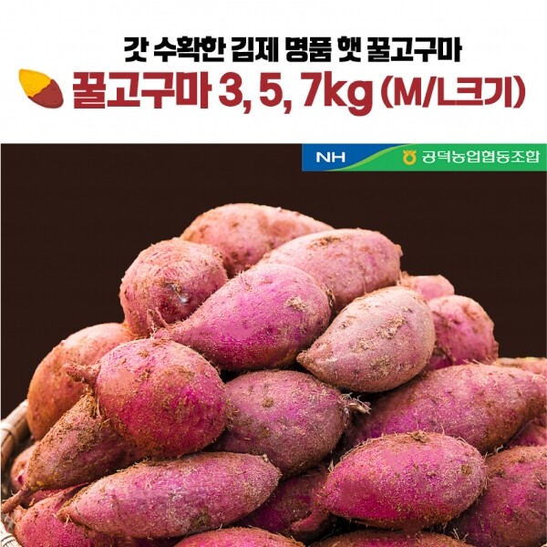 메디앙스 공식몰 아이맘,김제 햇 꿀고구마 특등급 M/L사이즈 3/5/7kg