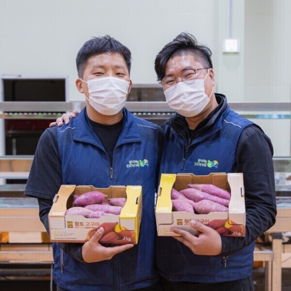 메디앙스 공식몰 아이맘,못난이 햇 꿀 고구마 3kg 5kg 7kg 택 1
