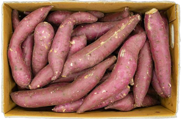 메디앙스 공식몰 아이맘,못난이 햇 꿀 고구마 3kg 5kg 7kg 택 1