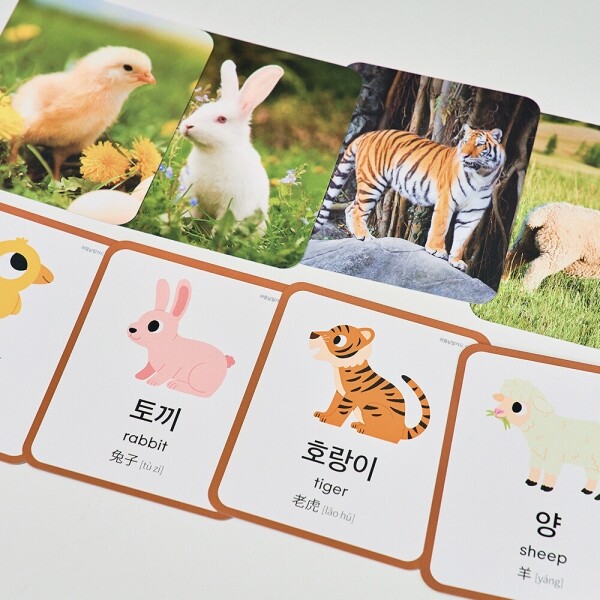 메디앙스 공식몰 아이맘,하뚱낱말카드 (세이펜 호환)